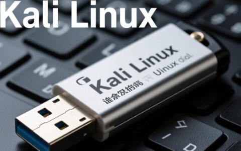 Kali Linux U盘安装时出现错误，如何解决？