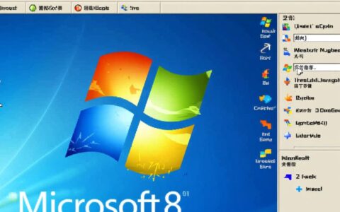 IE8输入时出现报错怎么办？