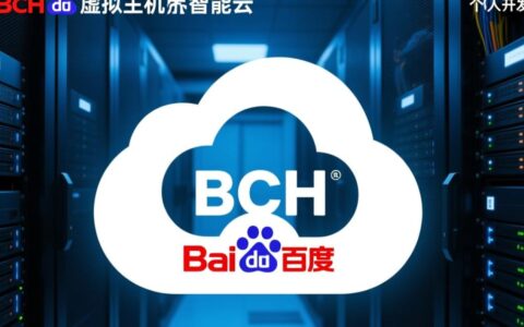 百度bch云虚拟主机新手怎么选？配置和价格哪个更重要？