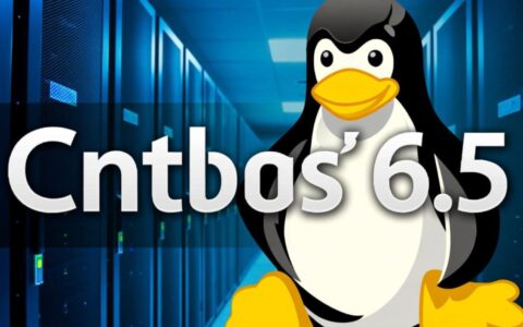centos6.5厂家停更后，企业如何选替代系统？