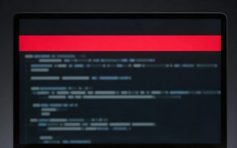 漏洞源码获取要注意哪些安全问题