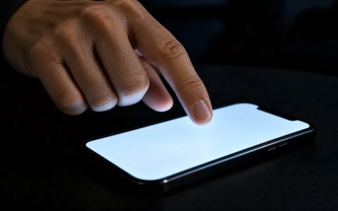域名抢注和竞拍；其实不是一回事